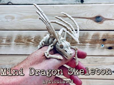Mini Dragon Skeleton