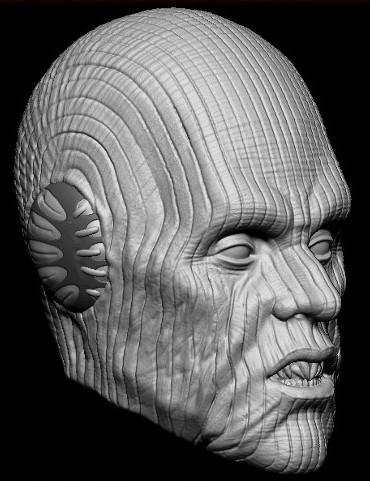 Pau’an – 1:6 Scale Star Wars Head Sculpt – Black Series – Hottoys 1:6 Scale- Action Figure