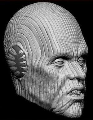Pau’an – 1:6 Scale Star Wars Head Sculpt – Black Series – Hottoys 1:6 Scale- Action Figure