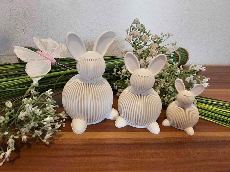 Funny Bunny