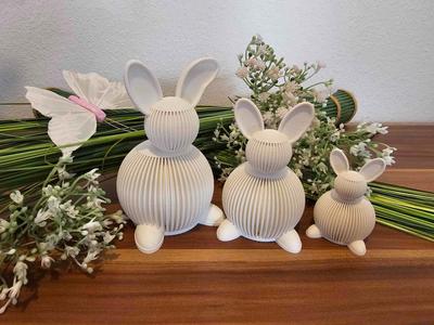 Funny Bunny