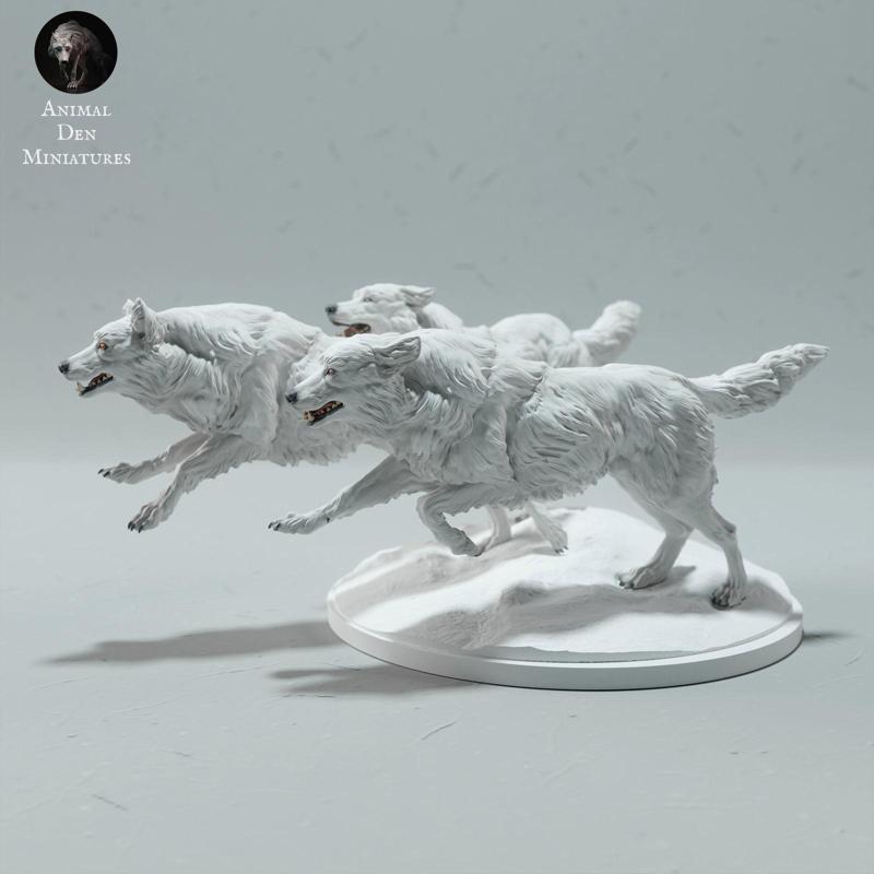 Arctic Wolves Run