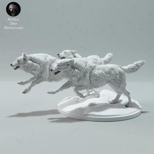 Arctic Wolves Run