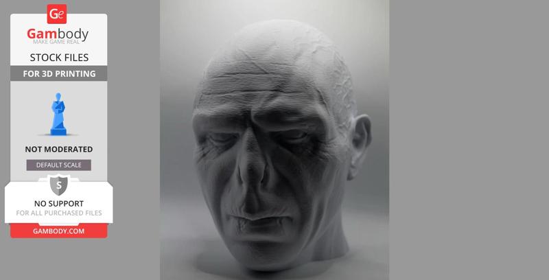 Lord Voldemort Headsculpt