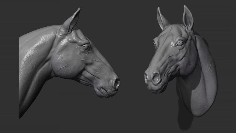 Horse head