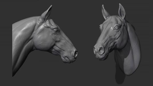 Horse head