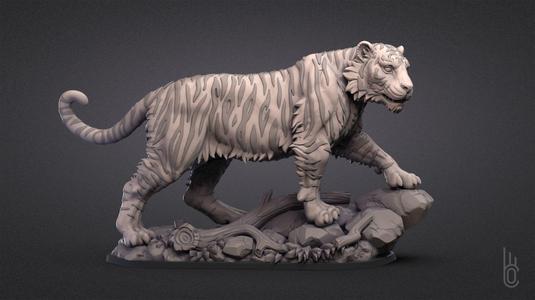 Tiger on rock