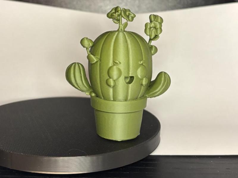 Plant Mascot Cactus