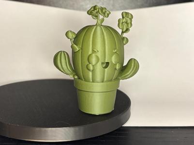 Plant Mascot Cactus