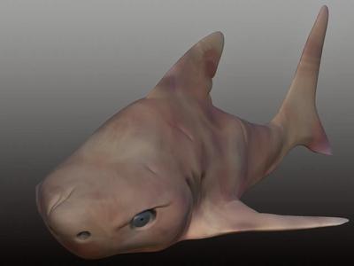 Zombie Shark