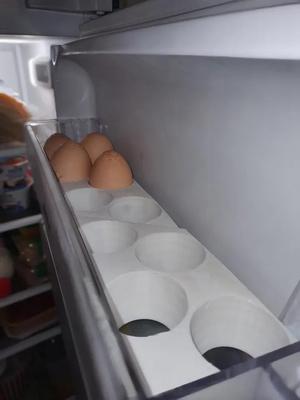 Eggs holder for fridge   