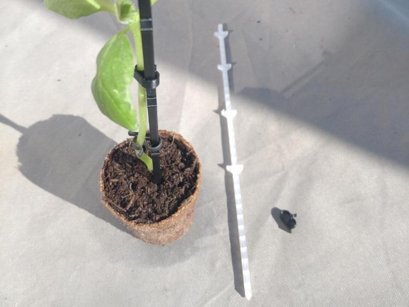 Support your seedlings