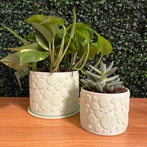 Fuzzy Polka Dot Planter
