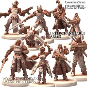020 TECHNOPUNK Infinite Fleur Order Scifi Knight Pano Fate Anime Soldiers