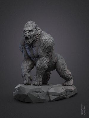 Gorilla on rock