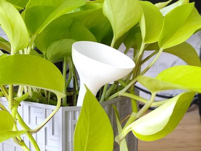 Watering bit – for house plants and flowers – vase mode