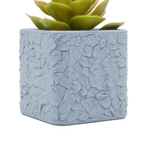 Rock Planter