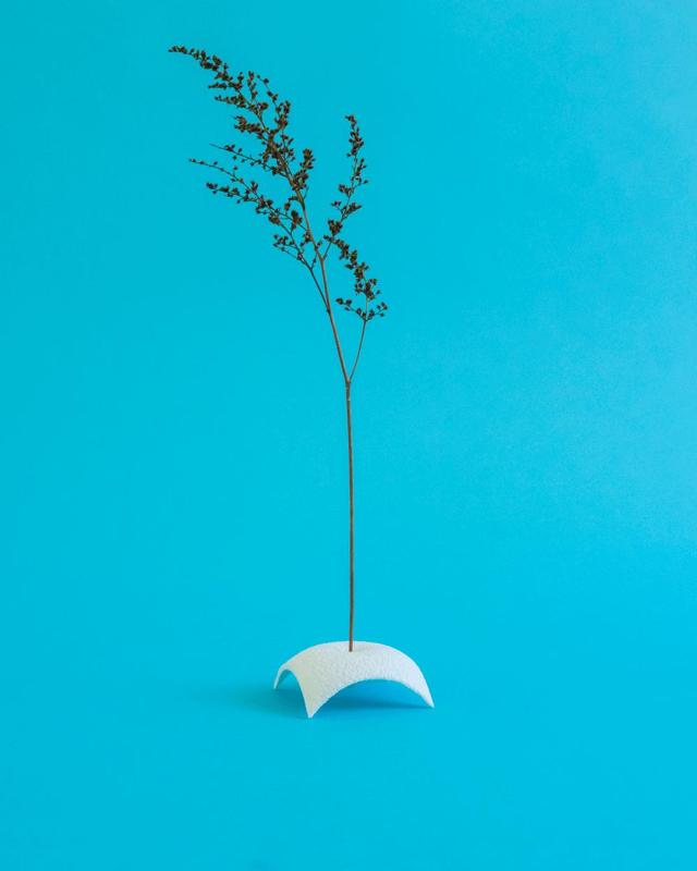Fovea // Dried Plant Holder