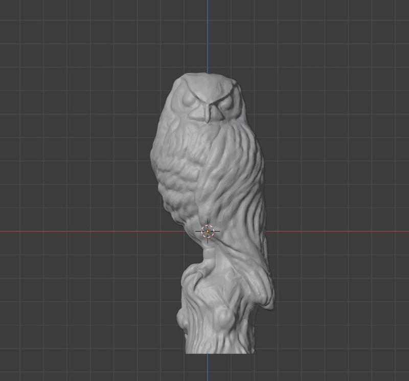 Morepork (Ruru)
