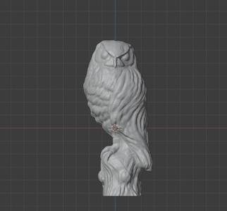 Morepork (Ruru)
