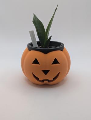 Jack-o-lantern Pot