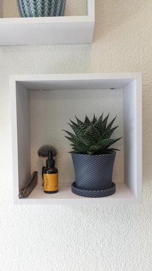 Plant Vase with Vase Dish