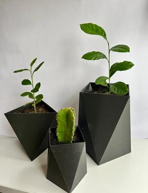 modern flower pot