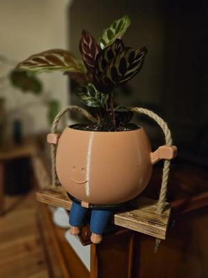 Bob the Planter