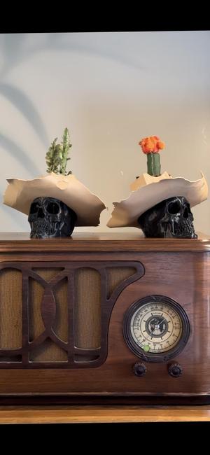 Cowboy Skull Cactus Planter