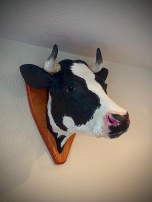 Dairy Cow Head
