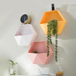 geometric hexagon wall flower pot
