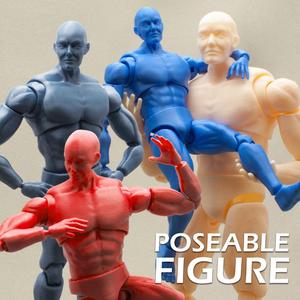 Articulated Poseable Male Figure