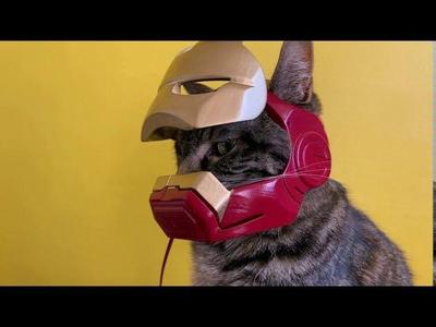 helmet for cat/dog ironman