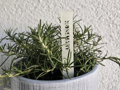 Name tag for herbs