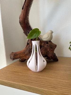 Jarrón con probeta / Vase with test tube