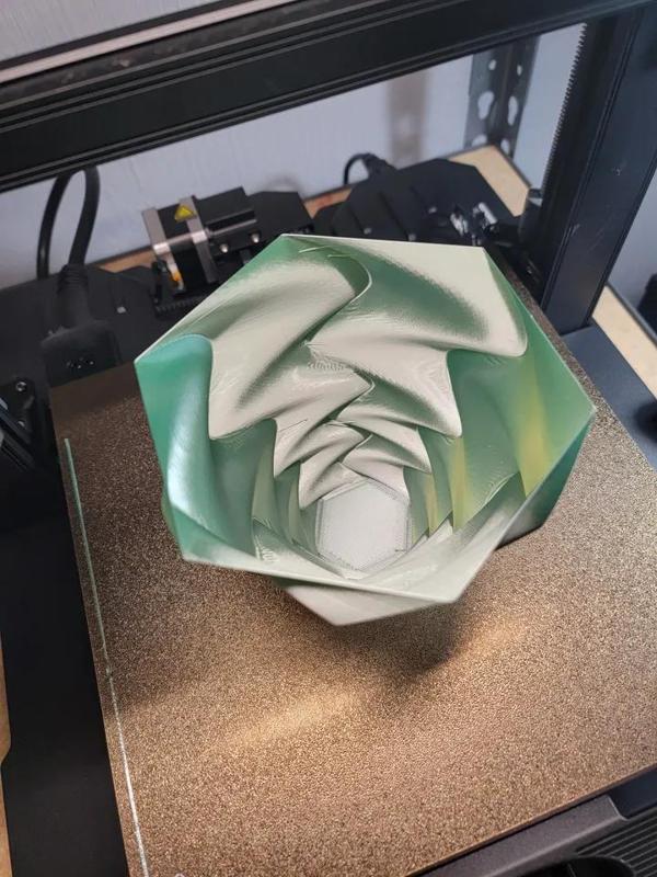 Vase (printed in vase mode)