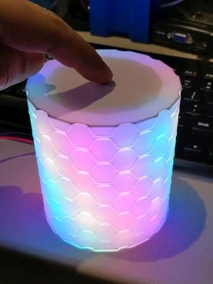 12×5 WS2812 LED Array Cylinder Lamp Using Vase Mode Printing