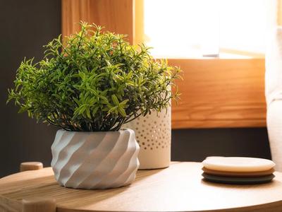 Organic Modern Planter