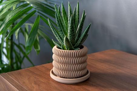 Planter with Drip Tray – The Clifton