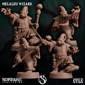 Melaleu Wizard