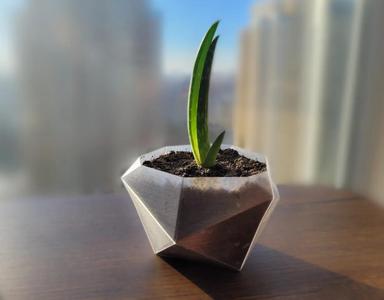 Geometrical Planter².