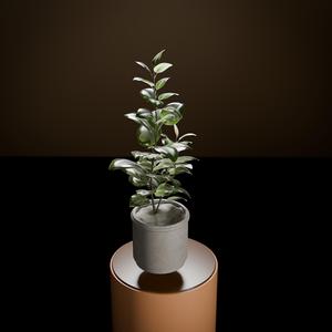 Planter – Desktop Planter – Home Decor 05