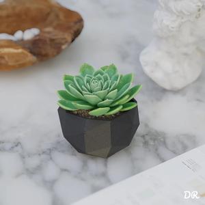 Geometric pot