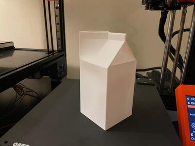Milk Carton Vase