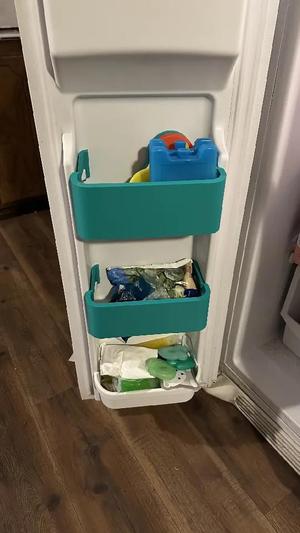 Freezer Door Shelf Replacement   