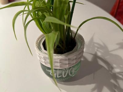 Basket Fence Lucky Jar