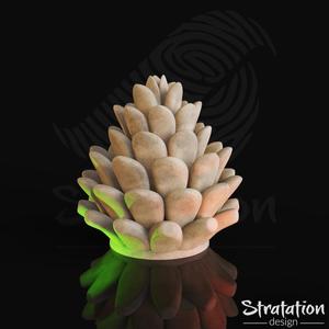 Pine Cone
