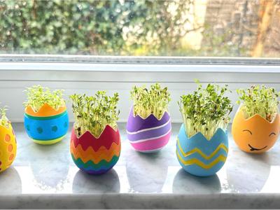 Easter Egg Cress Garden