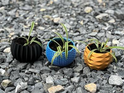 Small plant pots set of three