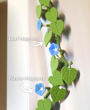 Morning Glory Magnets – Ivy Fridge Magnet – Flower Magnets